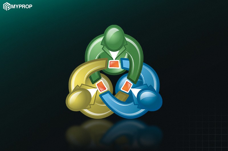 لایسنس رسمی متاکودز